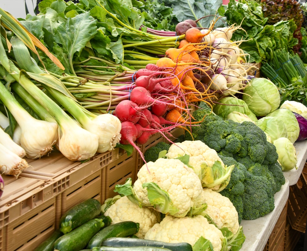 Fermented foods supporting gut immunity